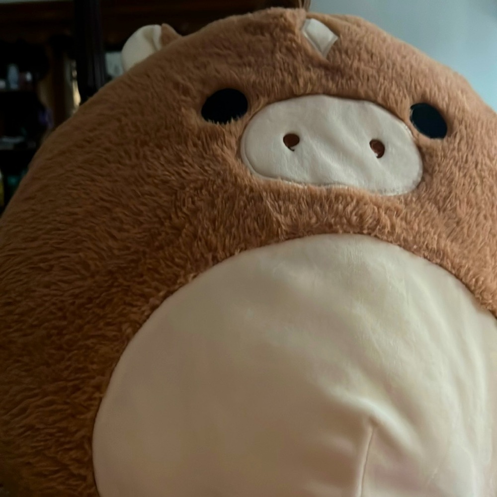 Teddy bear